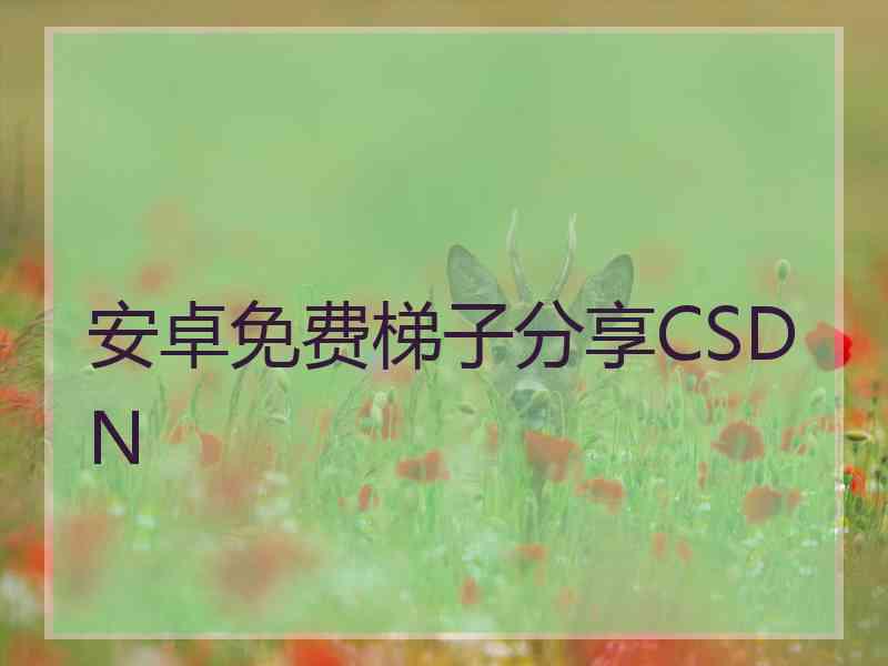 安卓免费梯子分享CSDN
