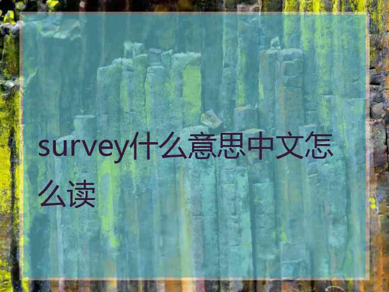 survey什么意思中文怎么读