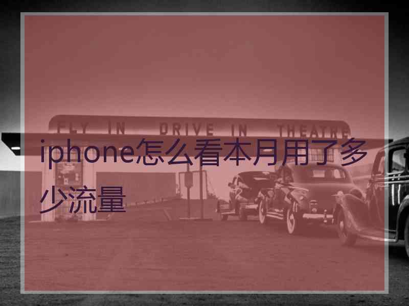 iphone怎么看本月用了多少流量