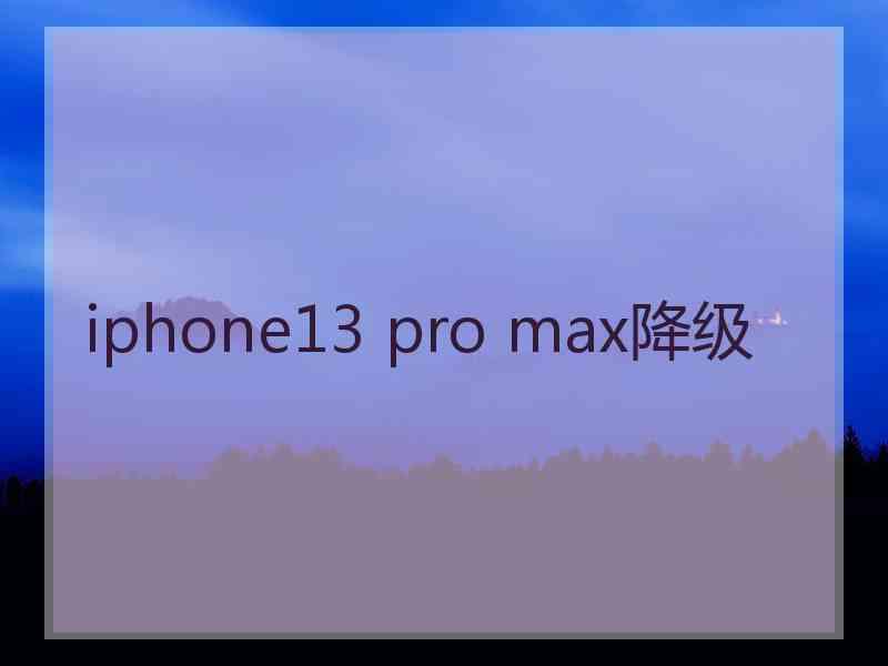 iphone13 pro max降级