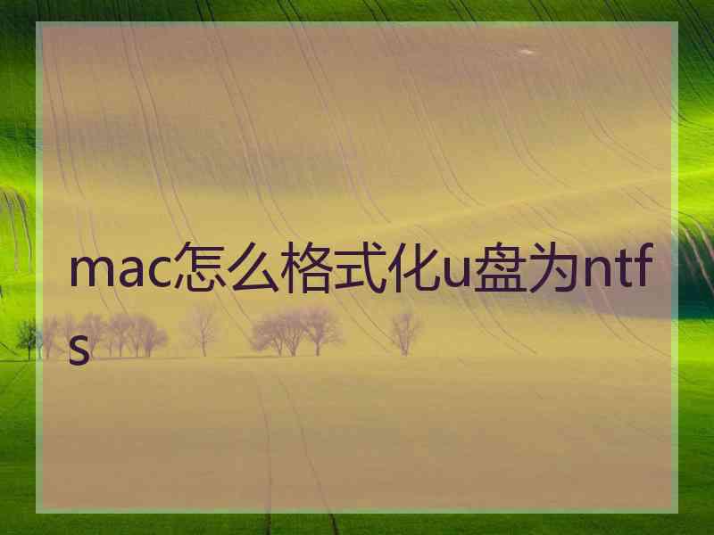 mac怎么格式化u盘为ntfs