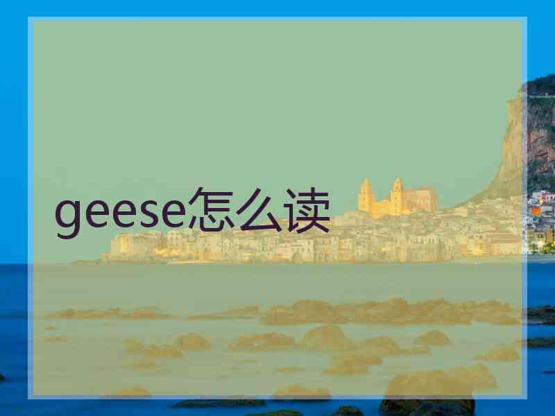 geese怎么读