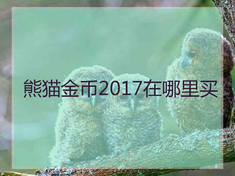 熊猫金币2017在哪里买