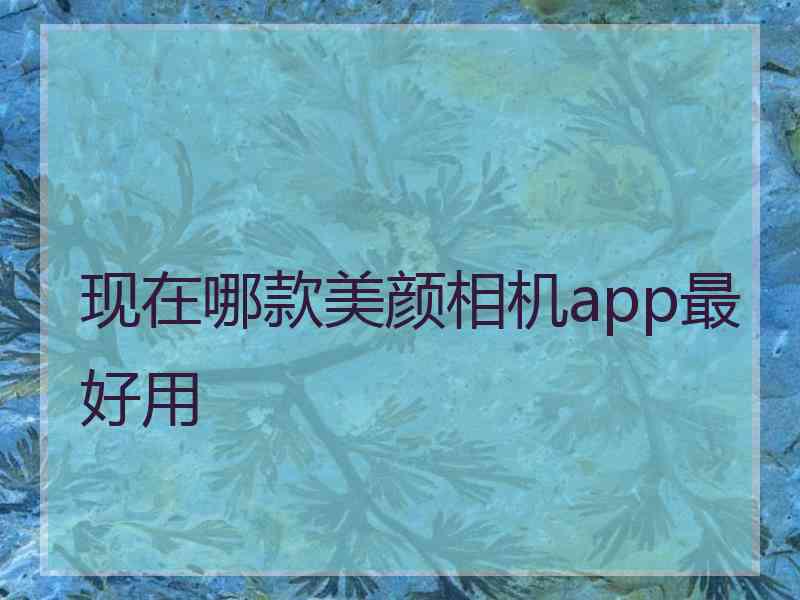 现在哪款美颜相机app最好用