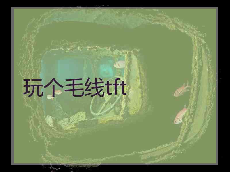 玩个毛线tft