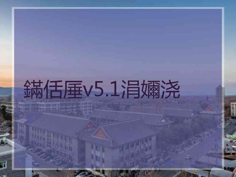 鏋佸厜v5.1涓嬭浇