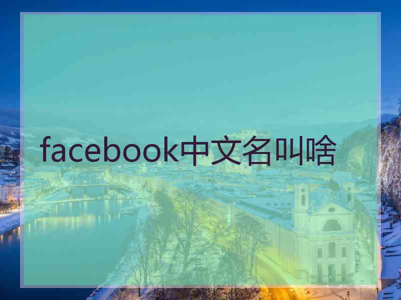 facebook中文名叫啥