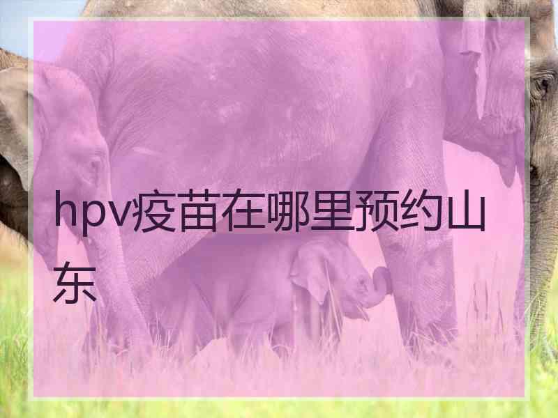 hpv疫苗在哪里预约山东