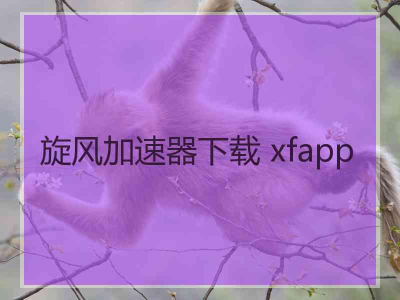 旋风加速器下载 xfapp