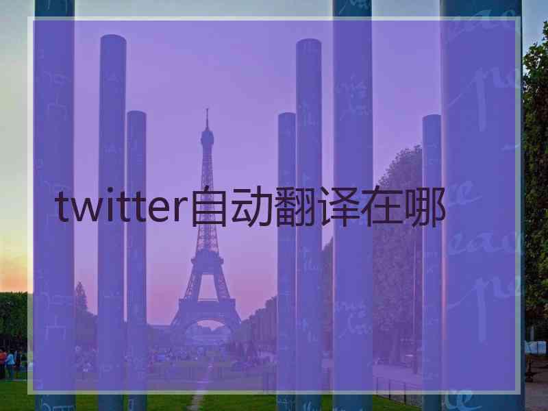 twitter自动翻译在哪