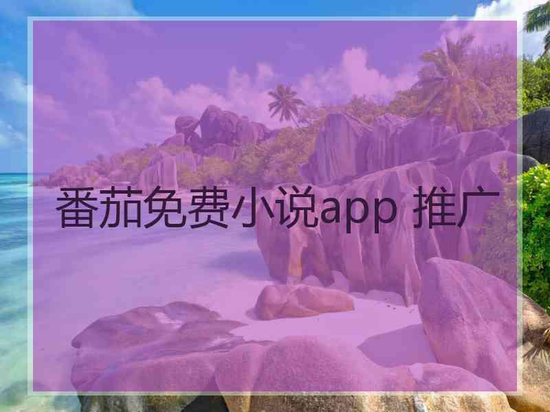 番茄免费小说app 推广