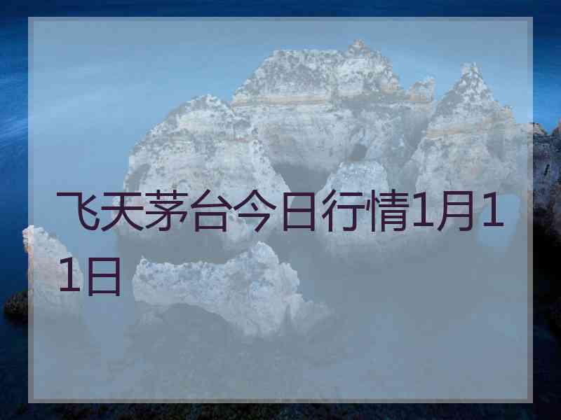 飞天茅台今日行情1月11日