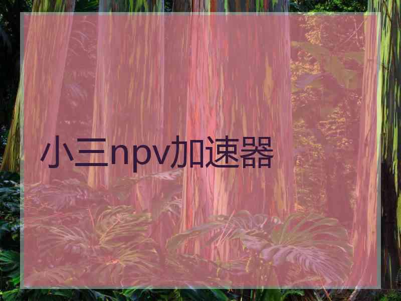 小三npv加速器