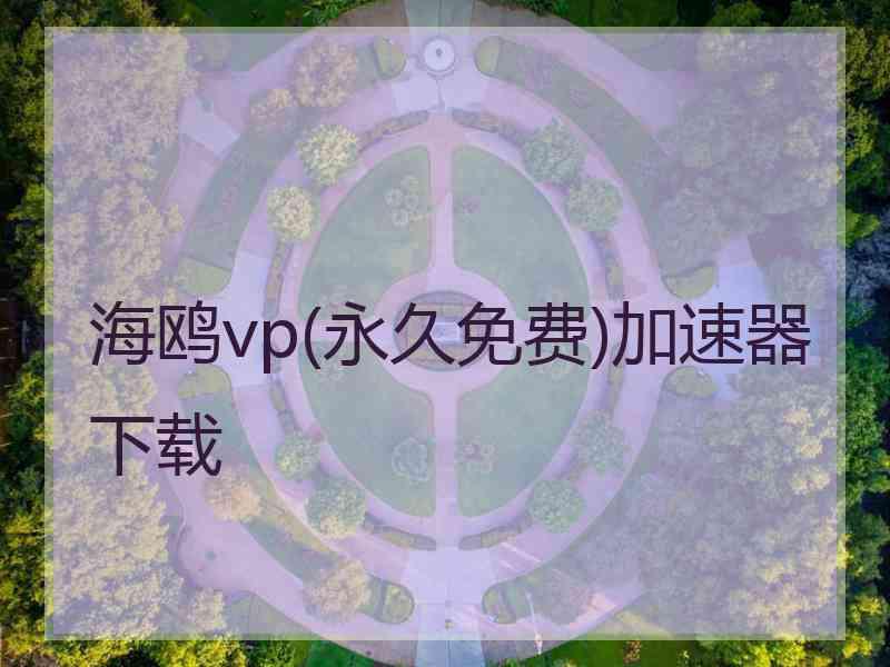 海鸥vp(永久免费)加速器下载