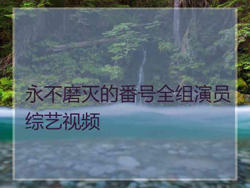 永不磨灭的番号全组演员综艺视频