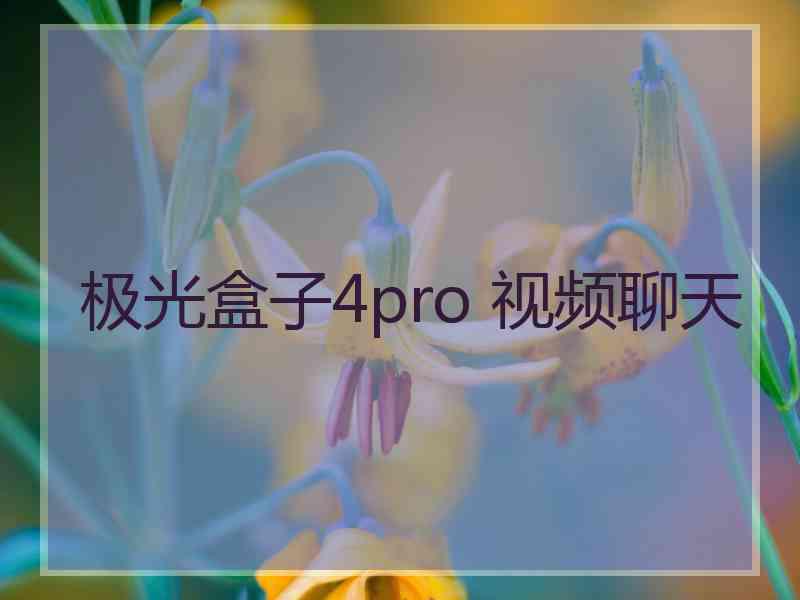 极光盒子4pro 视频聊天