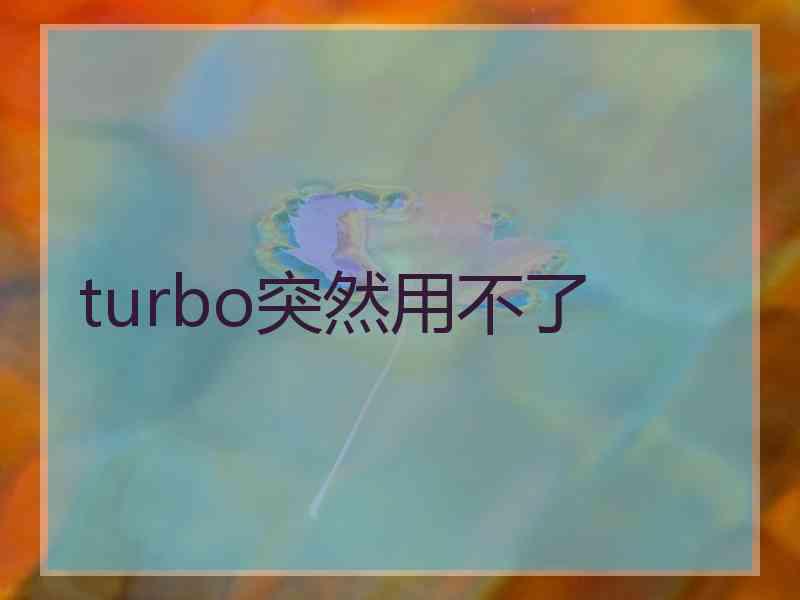 turbo突然用不了