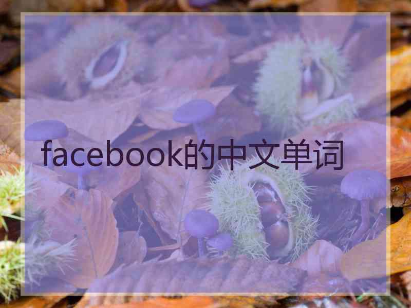 facebook的中文单词