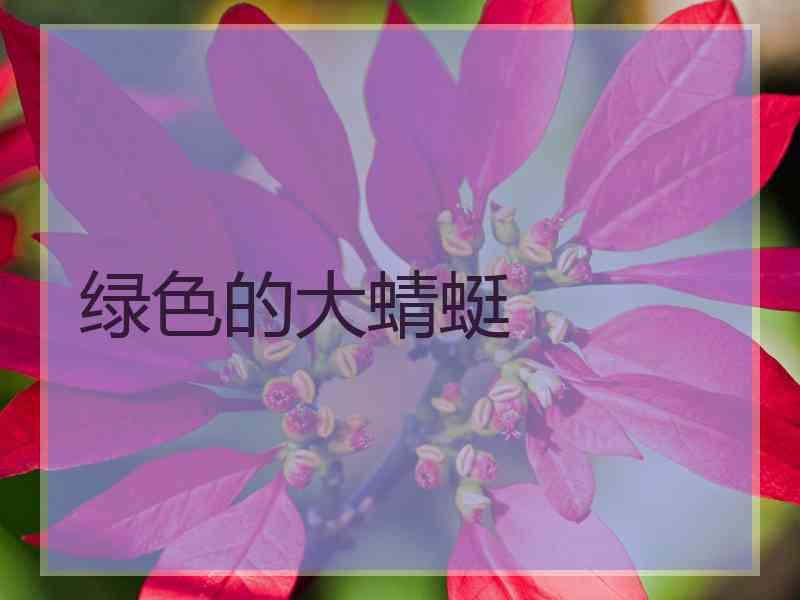 绿色的大蜻蜓