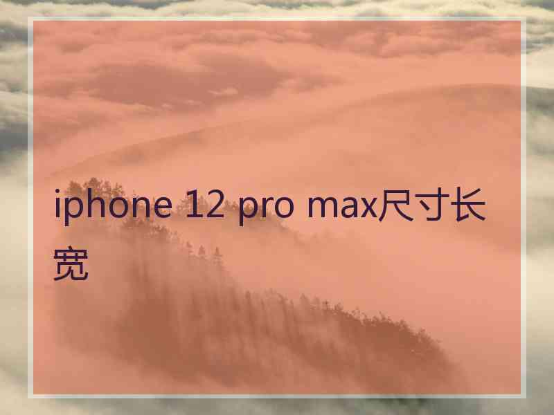 iphone 12 pro max尺寸长宽