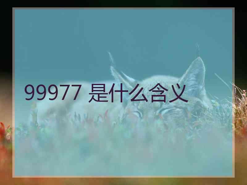 99977 是什么含义