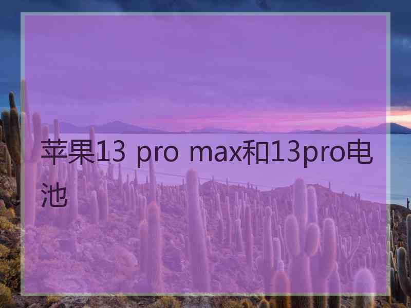 苹果13 pro max和13pro电池