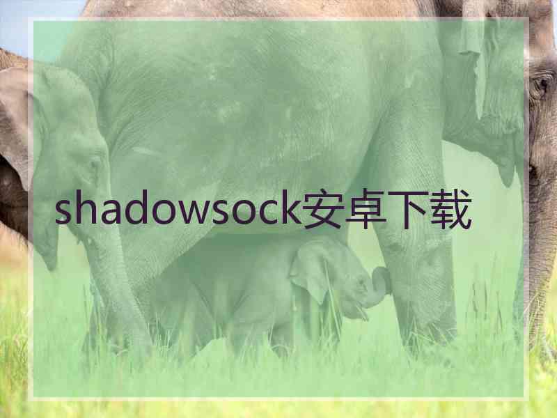 shadowsock安卓下载