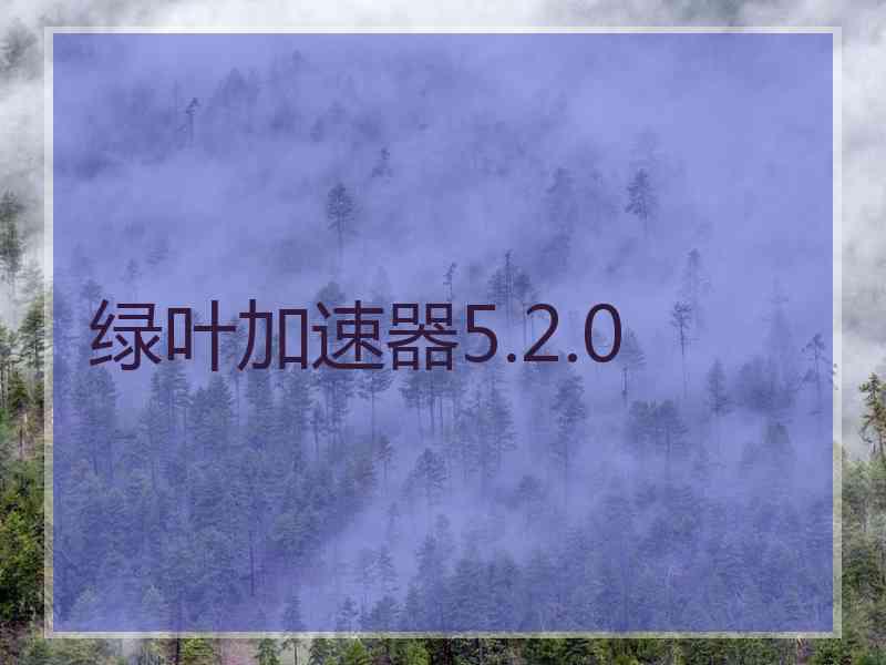 绿叶加速器5.2.0