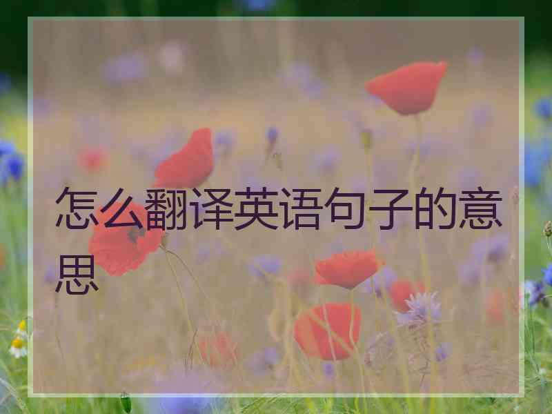 怎么翻译英语句子的意思