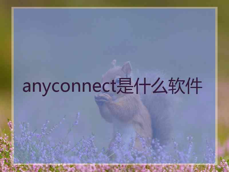 anyconnect是什么软件