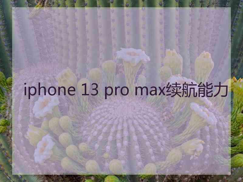 iphone 13 pro max续航能力