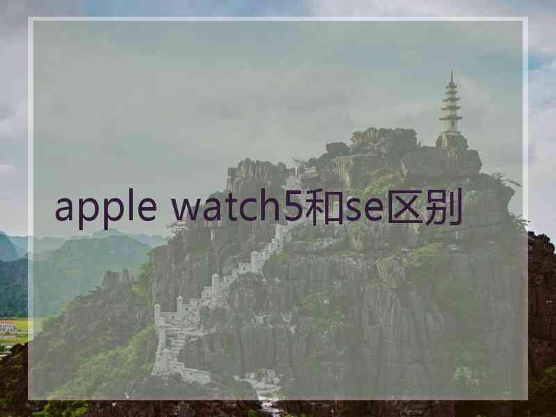 apple watch5和se区别