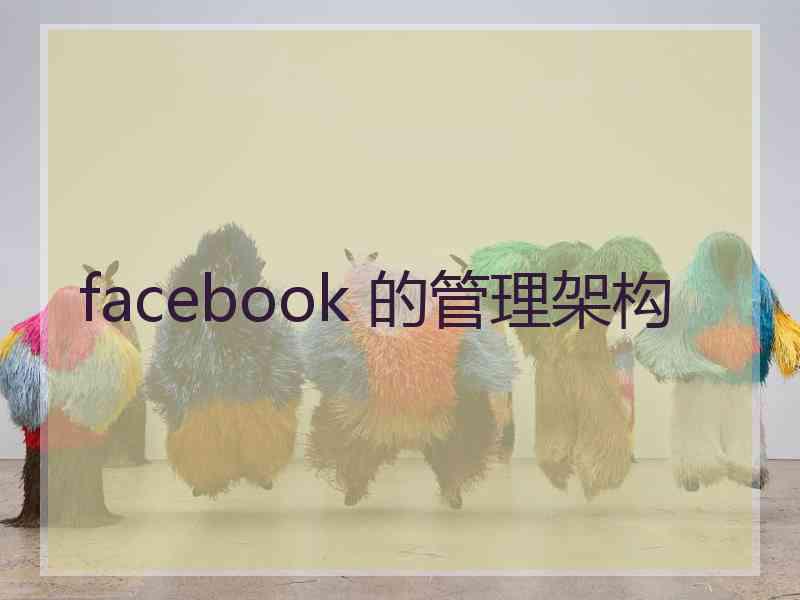 facebook 的管理架构