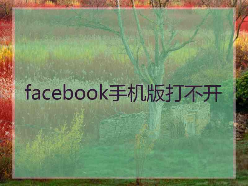 facebook手机版打不开