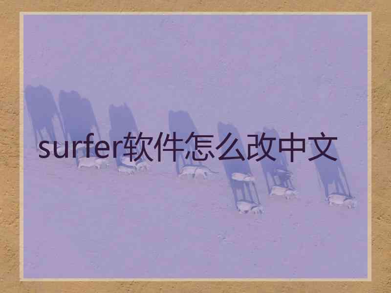 surfer软件怎么改中文