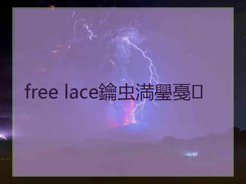 free lace鑰虫満璺戞