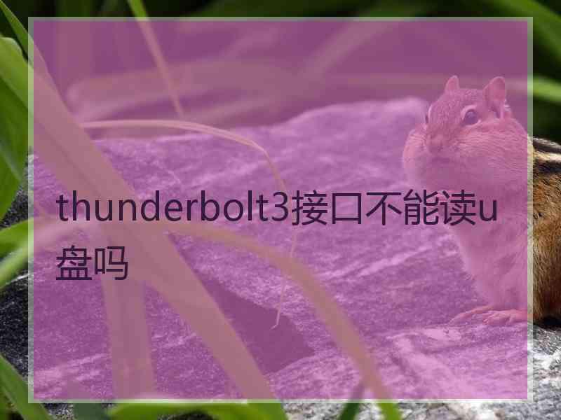 thunderbolt3接口不能读u盘吗