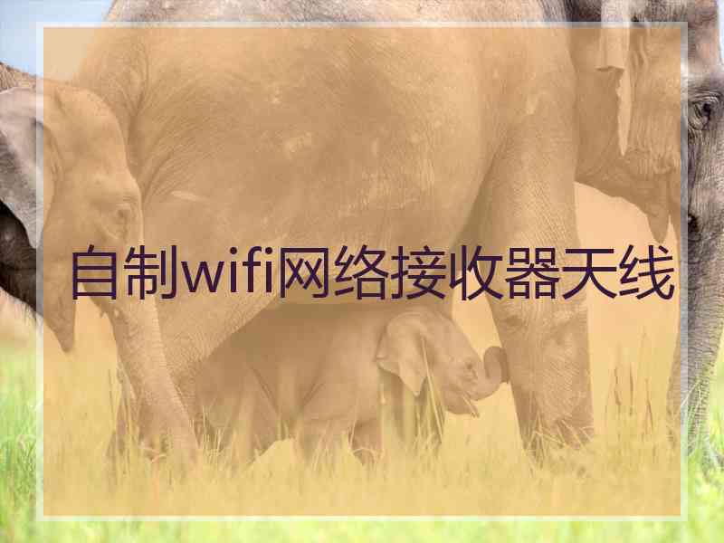 自制wifi网络接收器天线