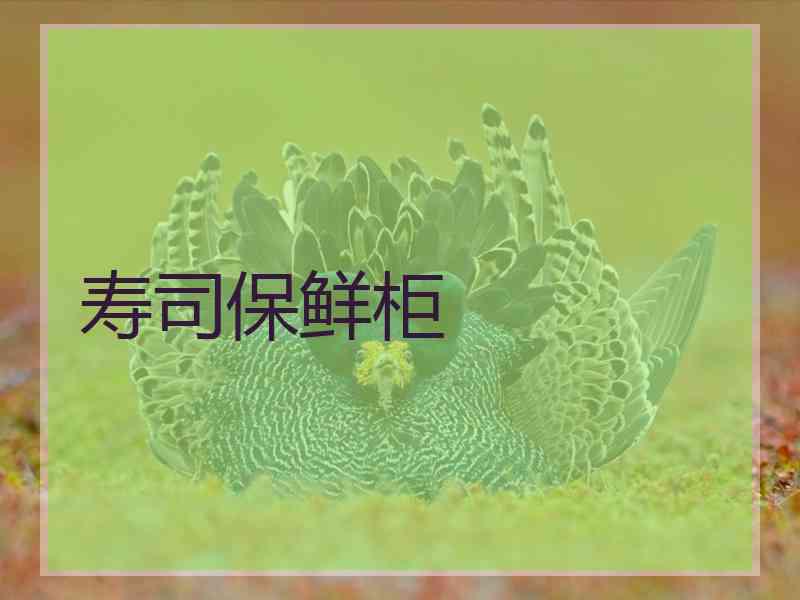 寿司保鲜柜