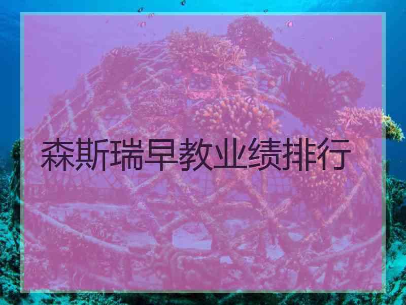 森斯瑞早教业绩排行