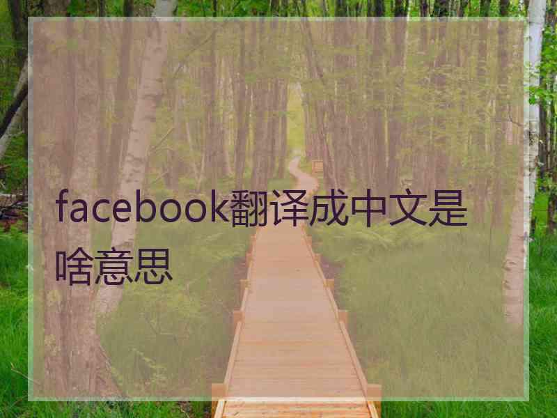 facebook翻译成中文是啥意思