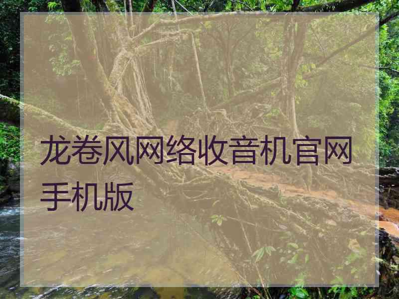 龙卷风网络收音机官网手机版