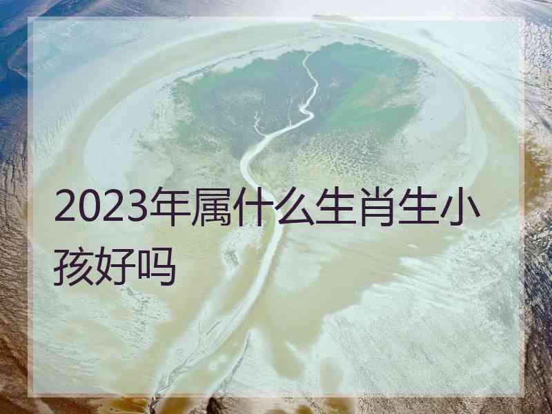 2023年属什么生肖生小孩好吗