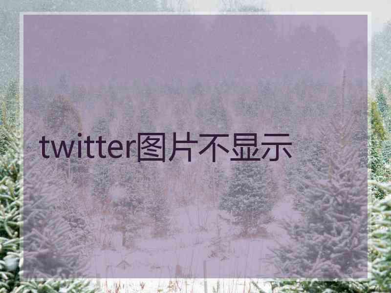 twitter图片不显示