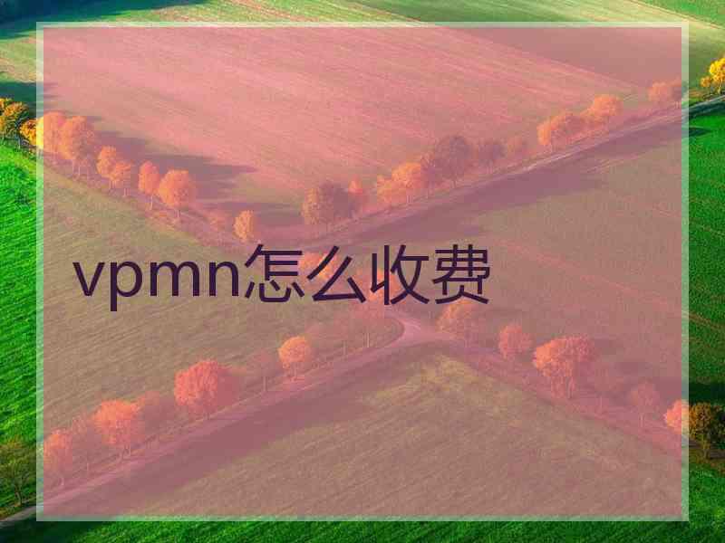 vpmn怎么收费