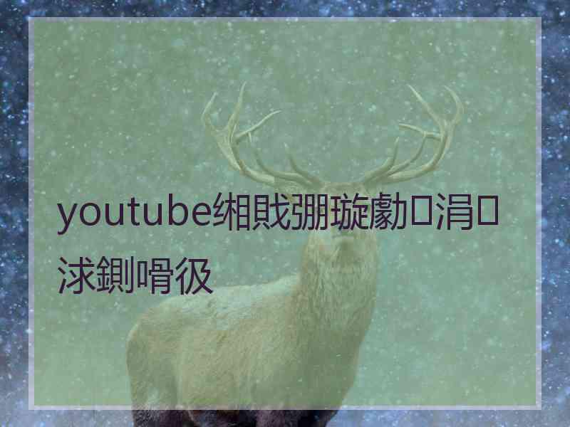 youtube缃戝弸璇勮涓浗鍘嗗彶