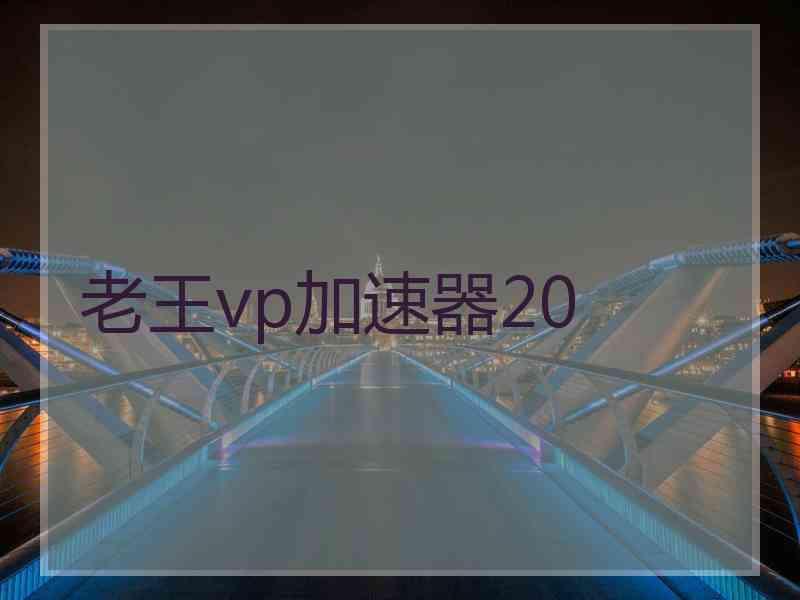 老王vp加速器20