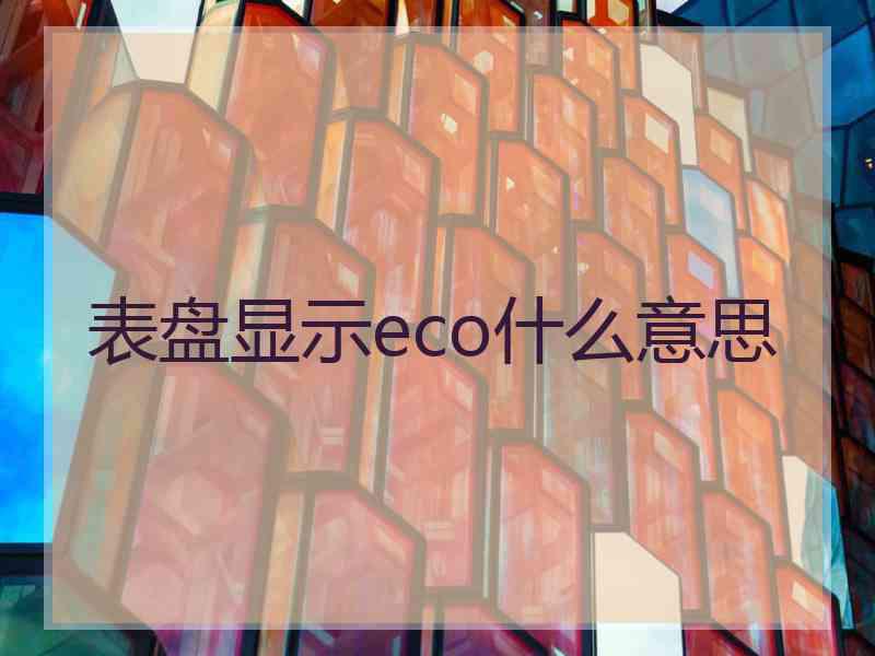 表盘显示eco什么意思