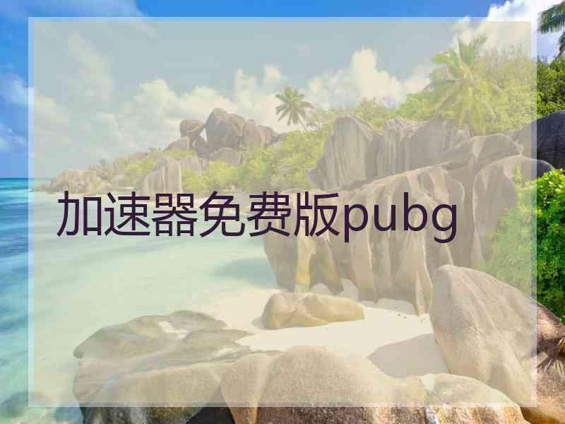 加速器免费版pubg