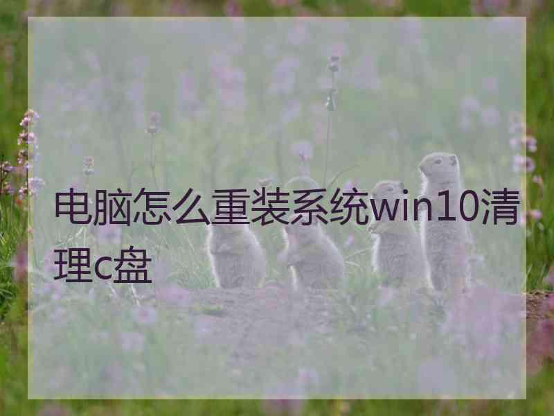 电脑怎么重装系统win10清理c盘